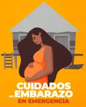 Cuidados del Embarazo en Emergencia